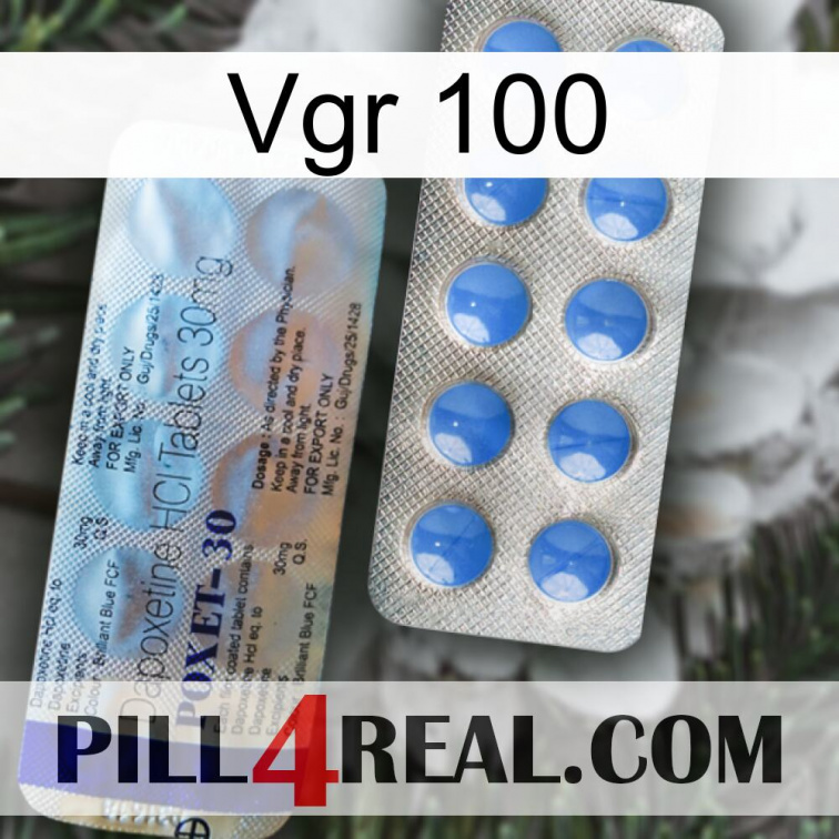 Vgr 100 39